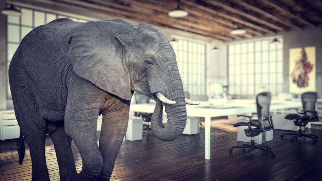 Elephant in the room